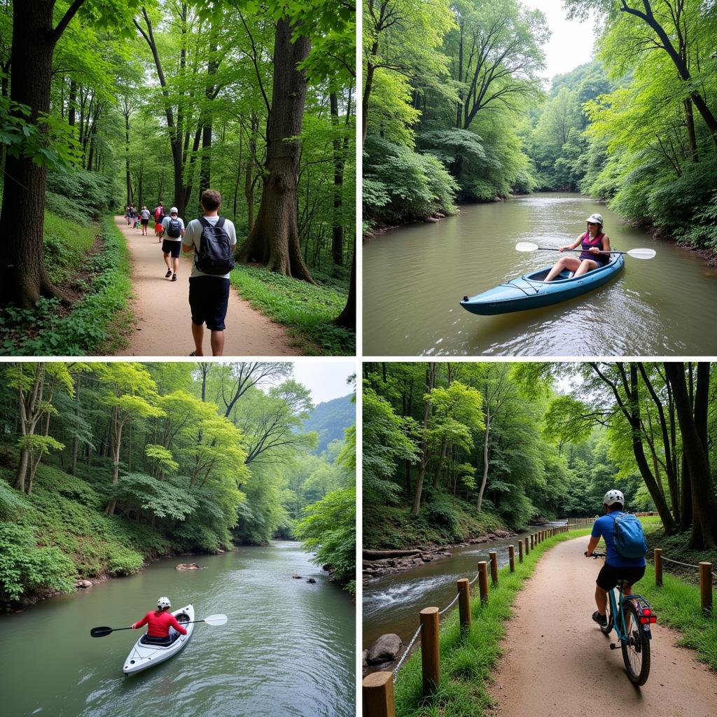 Hoạt động du lịch tại Nam Cát Tiên: Trekking, chèo thuyền, đạp xe