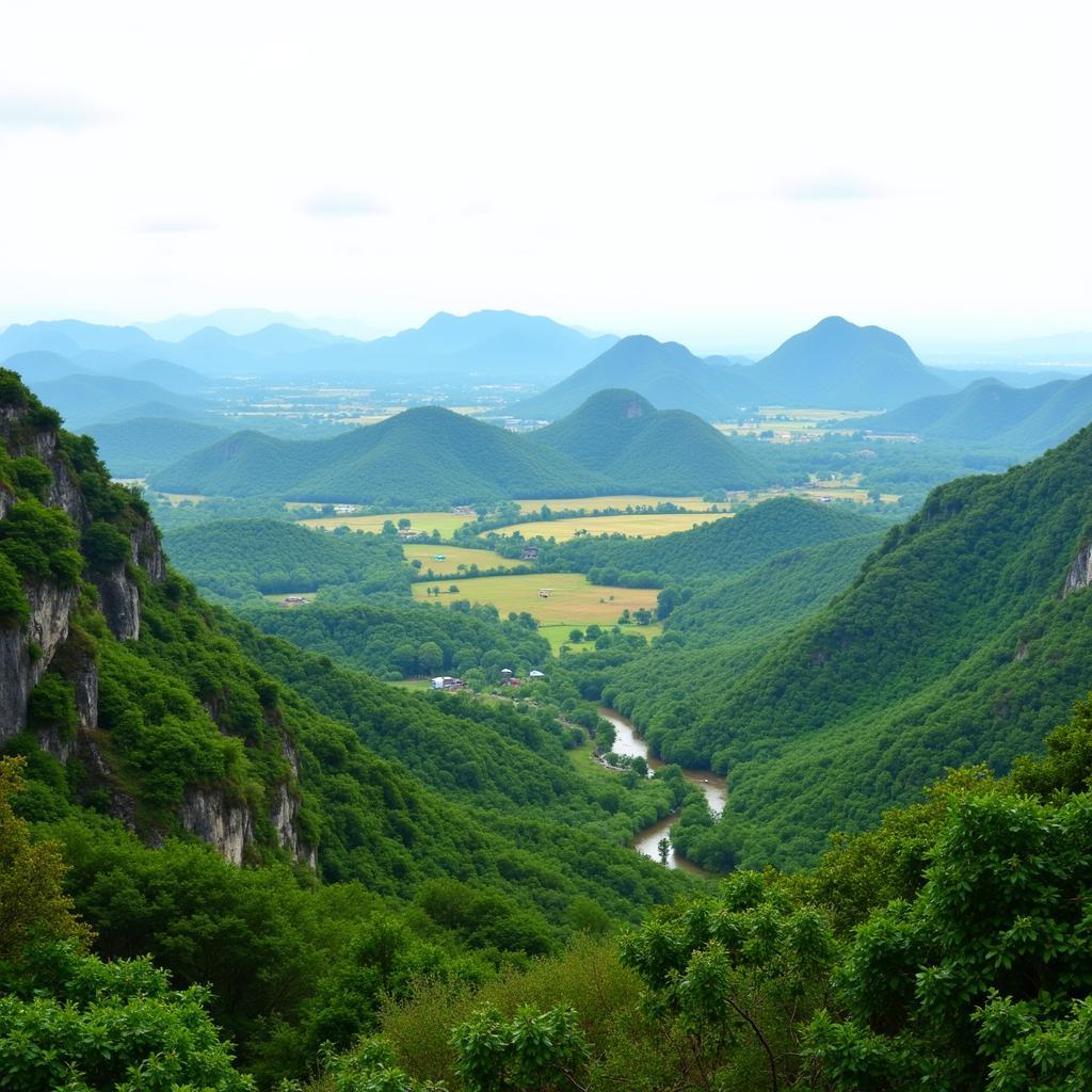 Cồn Chim Trà Vinh - Khu du lịch sinh thái lý tưởng