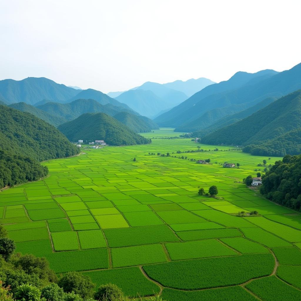 Thung Lũng Mai Châu - Cánh đồng lúa xanh mướt